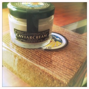 Petrossian-collection-printemps-ete-2