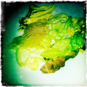 mozzarella-di-bufala-campana-poulette