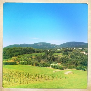 Domaine-de-la-croix-vignes