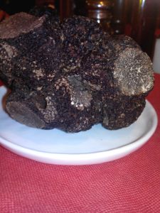 bar-a-truffes-peyrassol-paris-melanosporum