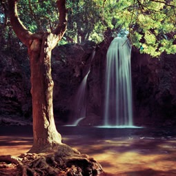 Château Fontainebleau - les eaux