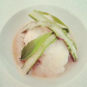 lotte-verveine-Esens'all