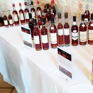 Verticale d'Armagnac