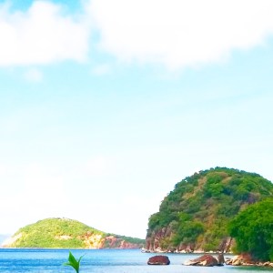 Pain de sucre les Saintes