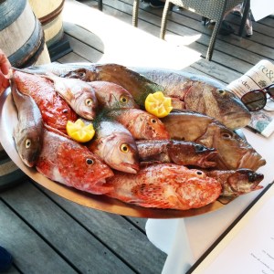 Corse poisson la gaffe