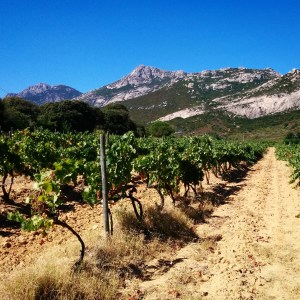 copyright Simon ROBERT