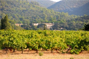 dsc_1478-bis_345x230