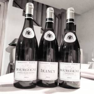 15276581_235057713594716_2357547285811822592_n1